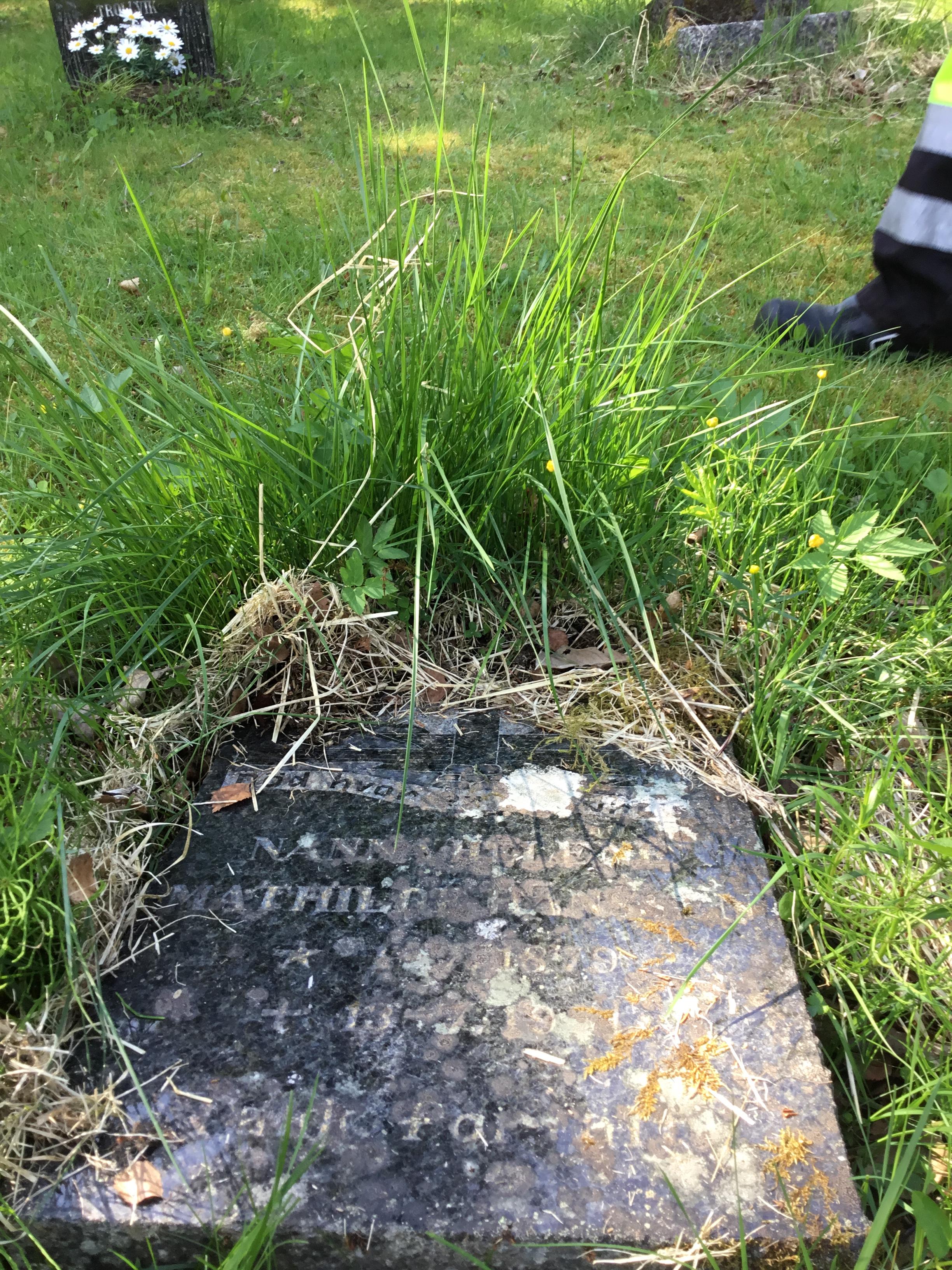 Nedramlet eldre gravmerke tatt ut sommer -23